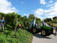 Bild durch anklicken vergr��ern