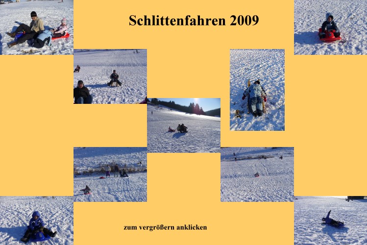 Bild Colage Schlittenfahren 2009
