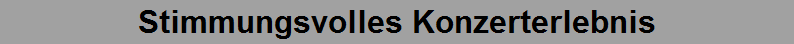 Stimmungsvolles Konzerterlebnis