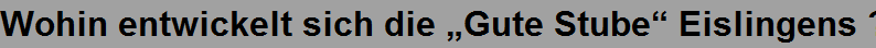 Wohin entwickelt sich die �Gute Stube� Eislingens ?